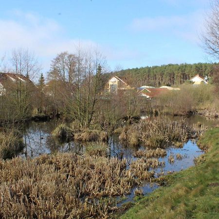 Ferienwohnungen Familie Piel Lutow Buitenkant foto